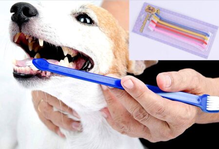 Çift Taraflı Hayvan Diş Fırçası 4 lü set (4172)