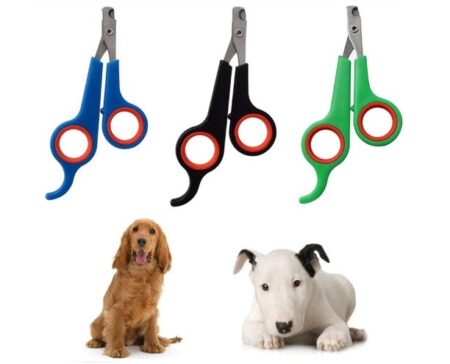 Kedi Köpek Tırnak Makası Renkli Poşetli (4172)