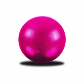 25CM KÜÇÜK PLATES TOPU ( HERHANGİ BİR RENK GÖNDERİLİR )  (4172)