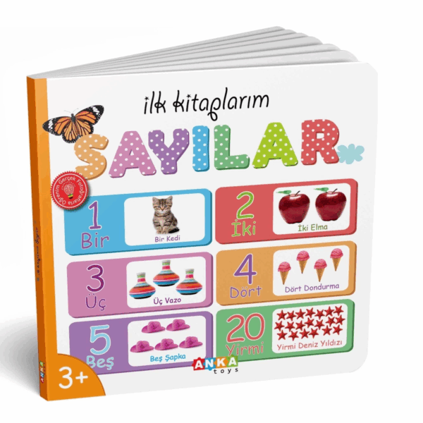 Çocuk 7202 Dıytoy, İlk Kitaplarım 6'lı Set - Görsel 3