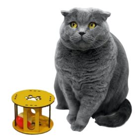 Ahşap Kafes Renkli Toplu Kedi Patisi Desenli Sesli Kedi Oyuncağı (K0)