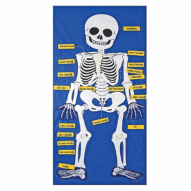 Çocuk AND-9150 İskelet Cırtlı Pano -Anadolu Oyuncak