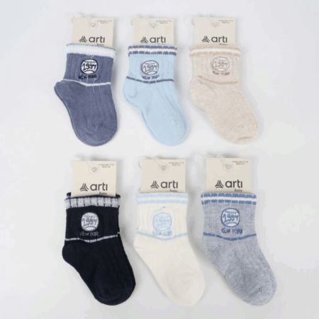 Artı Teori Aks Erkek Bebek Soket Çorap 450205 Asorti