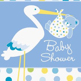 Baby Boy Stork Temalı Mavi Renk Baby Shower Davetiye 8 Adet (K0)