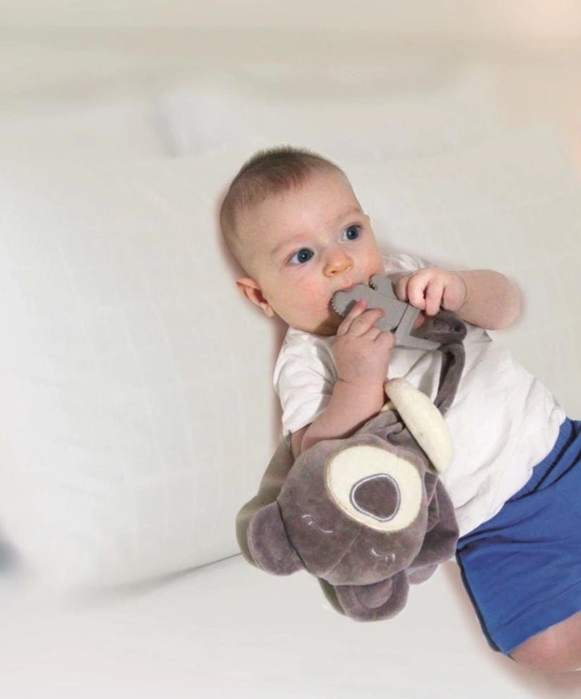 BabyJem Diş Kaşıyıcılı Uykucu Ayıcık 680 Gri - Görsel 3