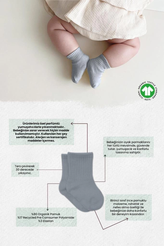 Bistyle Colors 6lı Penye Düz Soket Çorap BS6000 Antrasit - Görsel 2