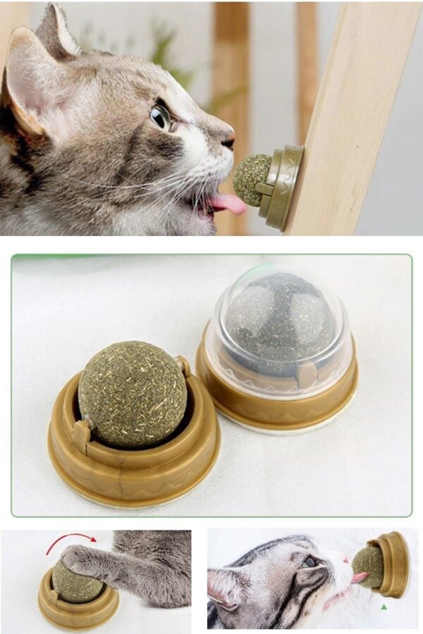 Duvara Yapışan Dönen Kedi Nanesi Cat Mint Oyun Topu Doğal Catnipli Kedi Oyuncağı (K0) - Görsel 3