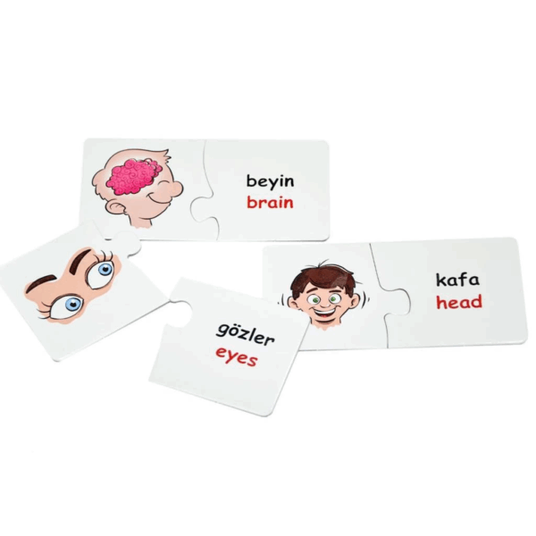 EDU-1008 Vücudumuz Eşleştir Oyunu -Chiva - Görsel 3