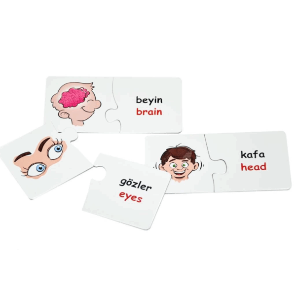EDU-1008 Vücudumuz Eşleştir Oyunu -Chiva - Görsel 4