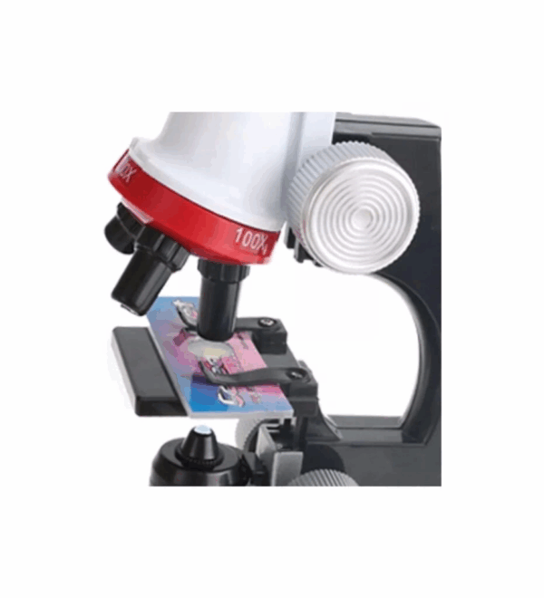 Eğitici Mikroskop Kiti Zoom Led Işıklı 100x 400x 1200x St1200x - Görsel 3