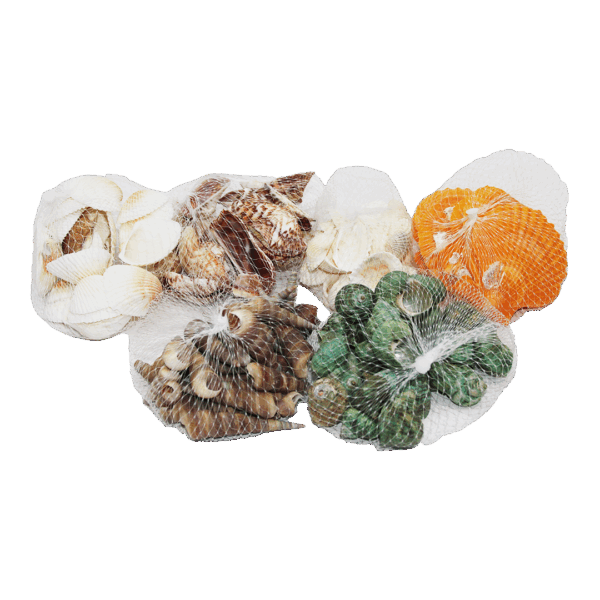 FİLELİ MİDYE DENİZ KABUK VAZO TAŞI RENKLİ MİX (K0)