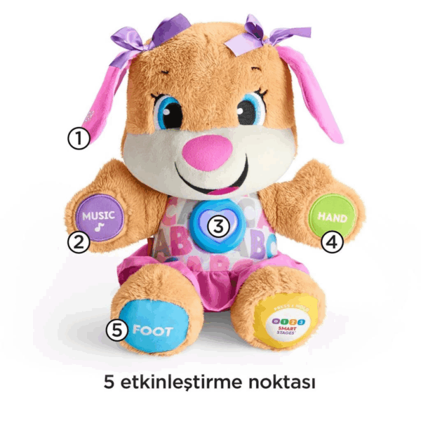 Çocuk FPP83 Fisher-Price® Yaşa Göre Gelişim Eğtici Köpekçiğin Kız Kardeşi / Türkçe / Eğlen ve Öğre - Görsel 3