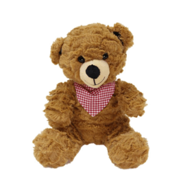 Çocuk Fularlı Ayı Peluş Oyuncak 22 cm