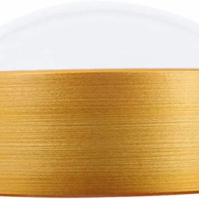 Harita Ve Yazı Çalışmalar Için En Uygun Büyüteç 60mm10x8014