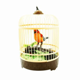 Çocuk HL507B-D-F Kafesli Büyük Kuş -Vardem