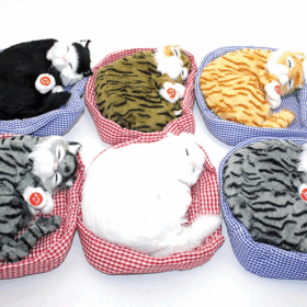 Horlayan Nesef Alıp Veren Yastıkda Uyuyan Kedi Sesli Alk3416