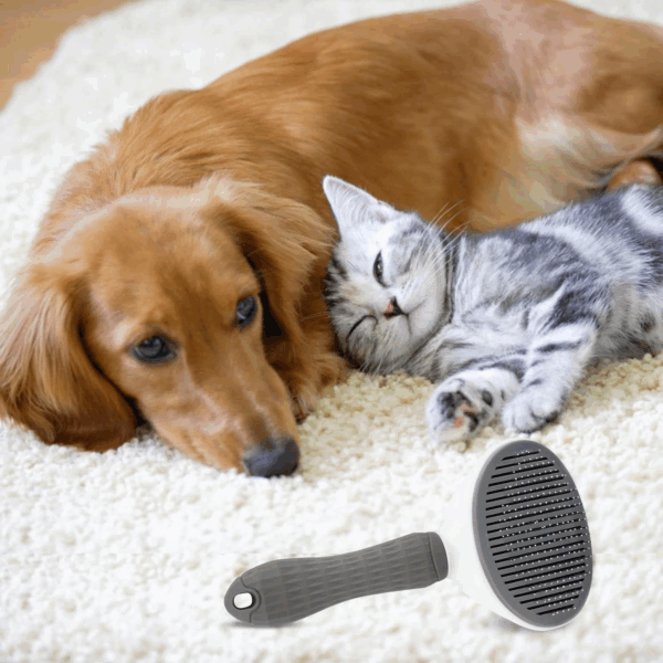 Kedi Köpek Tüy Toplayıcı  Pet Tarak 20 Cm - Görsel 2