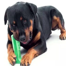 Köpek Diş Fırçası Isırma Aparatı Büyük Boy (K0)