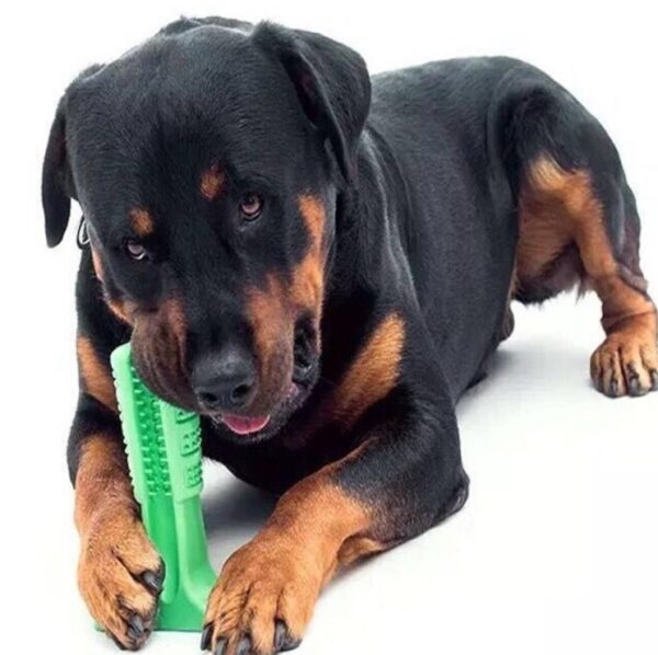 Köpek Diş Fırçası Isırma Aparatı Büyük Boy (K0)