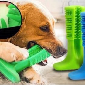 Köpek Diş Fırçası Isırma Aparatı Büyük Boy (K0)