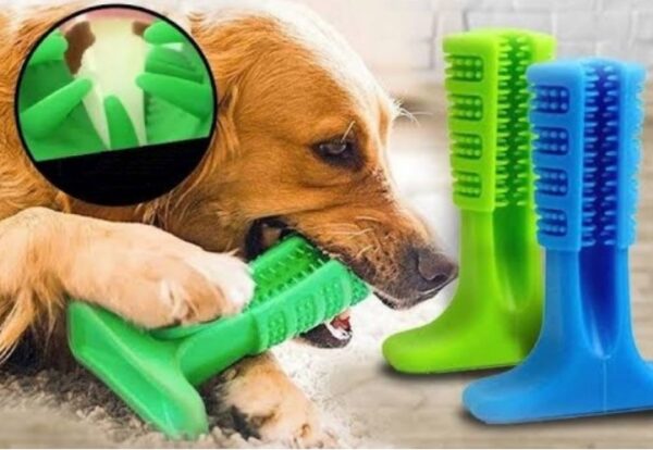 Köpek Diş Fırçası Isırma Aparatı Büyük Boy (K0) - Görsel 2