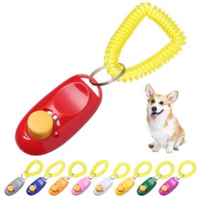 Köpek Eğitimi Clicker (K0)