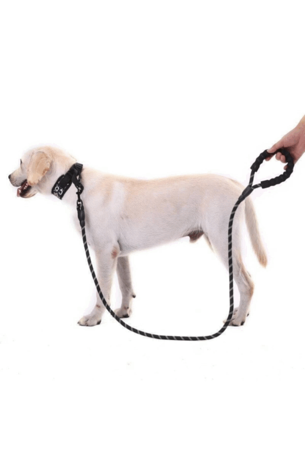 Köpekler İçin Gezdirme Tasması Reflektörlü 130 Cm Halat Orta Ve Büyük Boy Köpekler İçin Siyah - Görsel 2