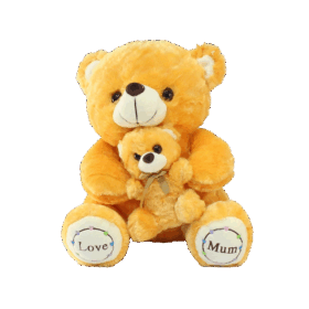 Love Mum Yavrulu Anne Ayı Peluş Oyuncak 30 cm
