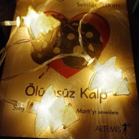 Metal Örgülü Çam Ağacı Şeklinde Günışığı Şerit Led Işık Zinciri (K0)