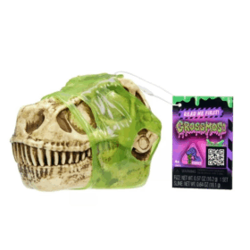 GrossMos Sürpriz Dinozor Eğlenceli ve Şaşırtıcı Oyuncak Seti