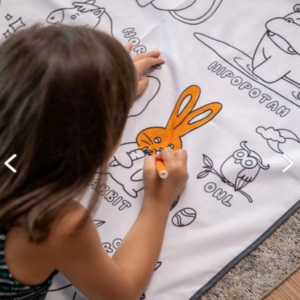 Eğitici Oyuncak 281 YIKANABİLİR BOYAMA