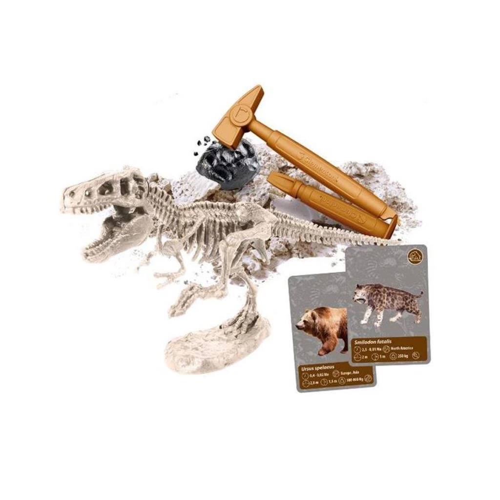 Çocuk 64839 Bilim ve Oyun - Dünyadaki Yaşamın Tarihi - Görsel 2