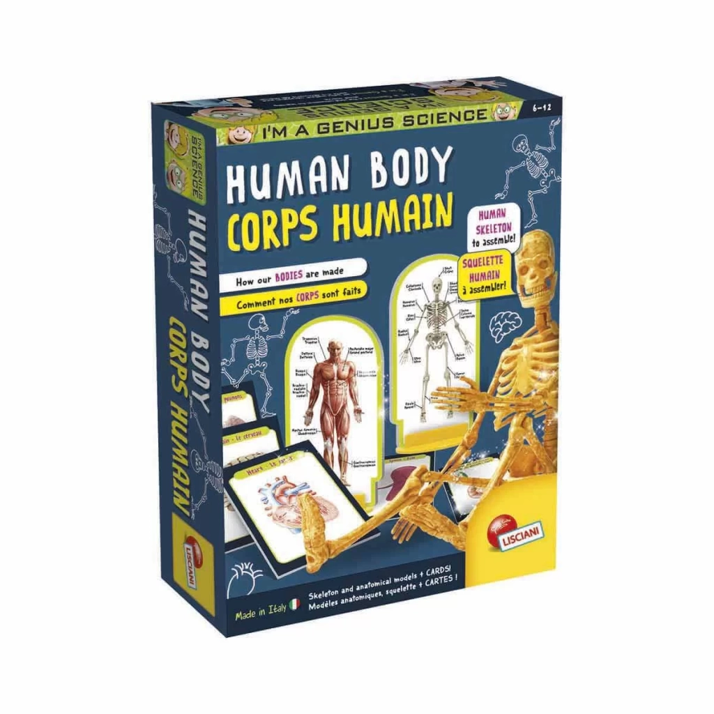 Bilim Seti İnsan Vücudu - Görsel 3