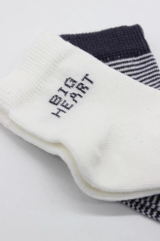 Big Heart Penye Soket Çorap 2’li Antrasit, Yumuşak ve Şık Tasarım - Görsel 4