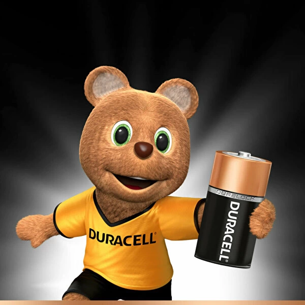 Çocuk Duracell Basic C Boy Pil 2Li - Görsel 5