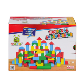 Woodoy Ahşap 100 Parça Renkli Bloklar Eğitici Set