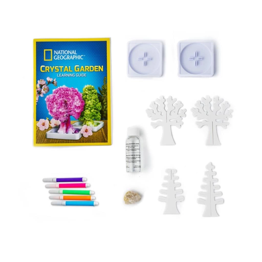Çocuk NAT00002 National Geographic Kristal Bahçe Kiti - TRCRYSGRDN +8 yaş - Görsel 2