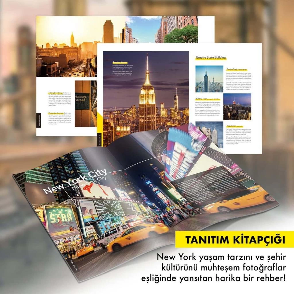 National Geographic 66 Parça 3D Puzzle Empire State Binası - Görsel 3