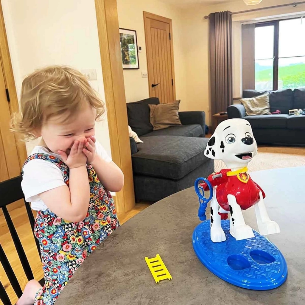 Eğitici Çocuk Paw Patrol Load Up - Görsel 2