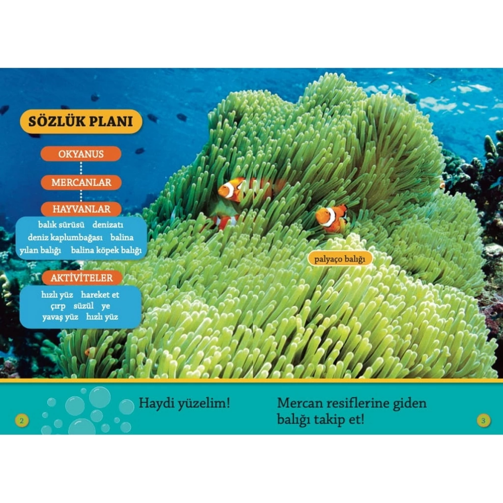 ÇocukRenkli Balıklar Okuma Kitabı - Görsel 3