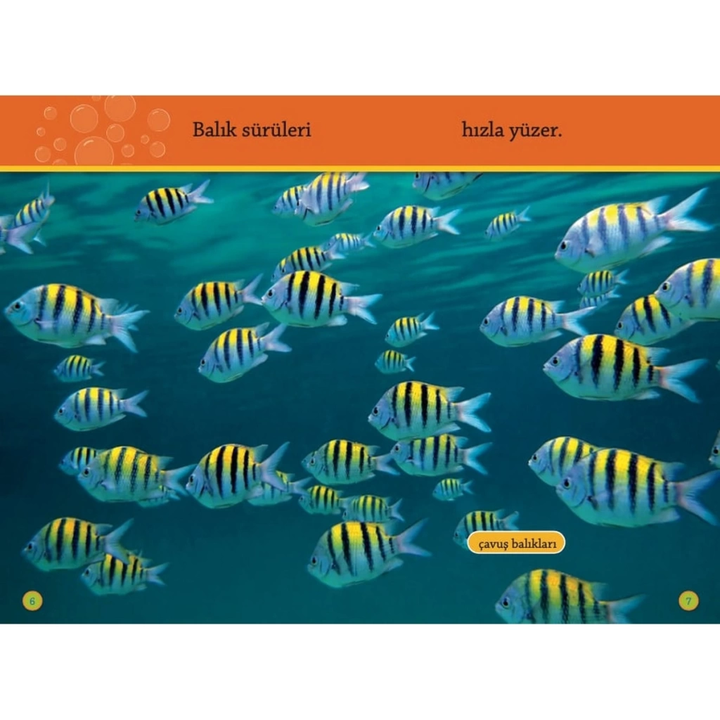 ÇocukRenkli Balıklar Okuma Kitabı - Görsel 4