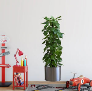 Eğitici Oyuncak Saksılı Bitki Tasarımlı Yapışkanlı Sticker Resim 90*30 cm MC-665