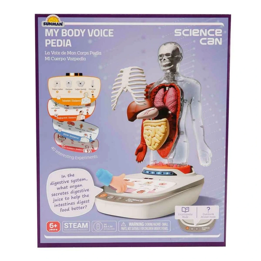 Eğitici Oyuncak Sesli İnsan Vücudu Modeli Bilim Seti - Görsel 5