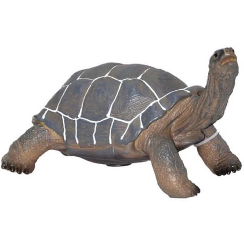 Çocuk Soft Orta Boy Vahşi Hayvan Figürü - Görsel 4