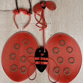 Uğur Böceği Kanat Seti Kanat Tacı ve Asası Çocuklar İçin Şık Tasarım