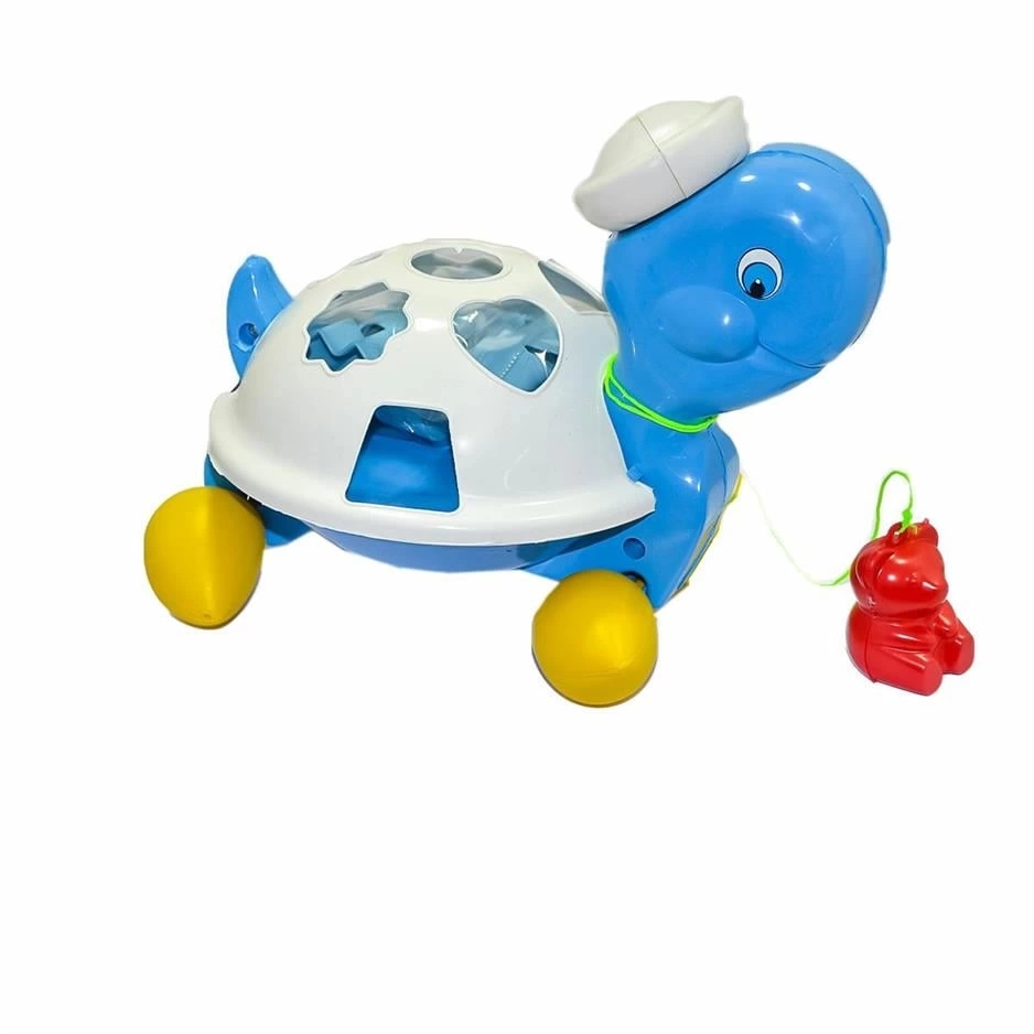 Çocuk Bultak Kaplumbağa - Görsel 2