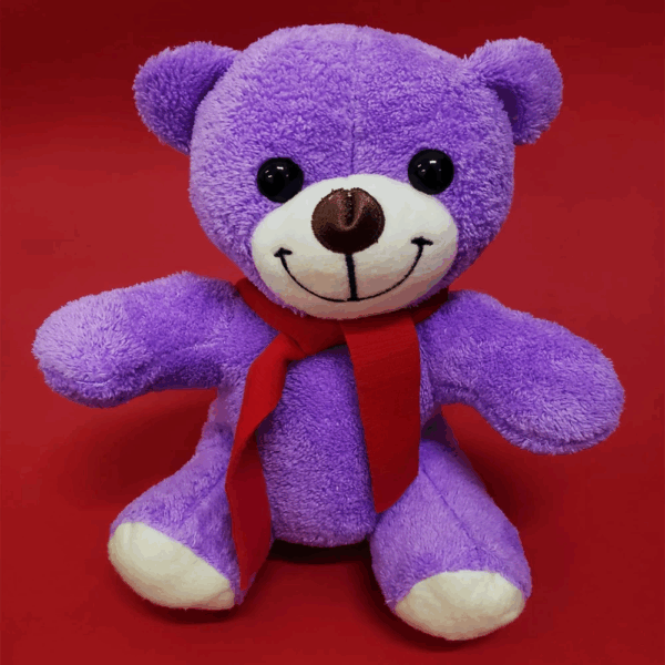 Öğretmenler Günü Hediyesi Peluş Ayıcık - Görsel 4