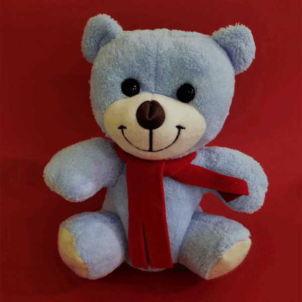 Öğretmenler Günü Hediyesi Peluş Ayıcık - Görsel 5