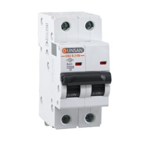 Günsan Valta Otomatik Sigorta 10kA B Tip 2P 40A