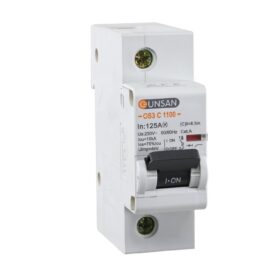 Günsan Valta Otomatik Sigorta 1P 10kA C Tip 125A Bir Kutuplu